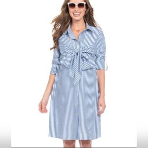 Seraphine Blue and White Striped Maternity Dress
